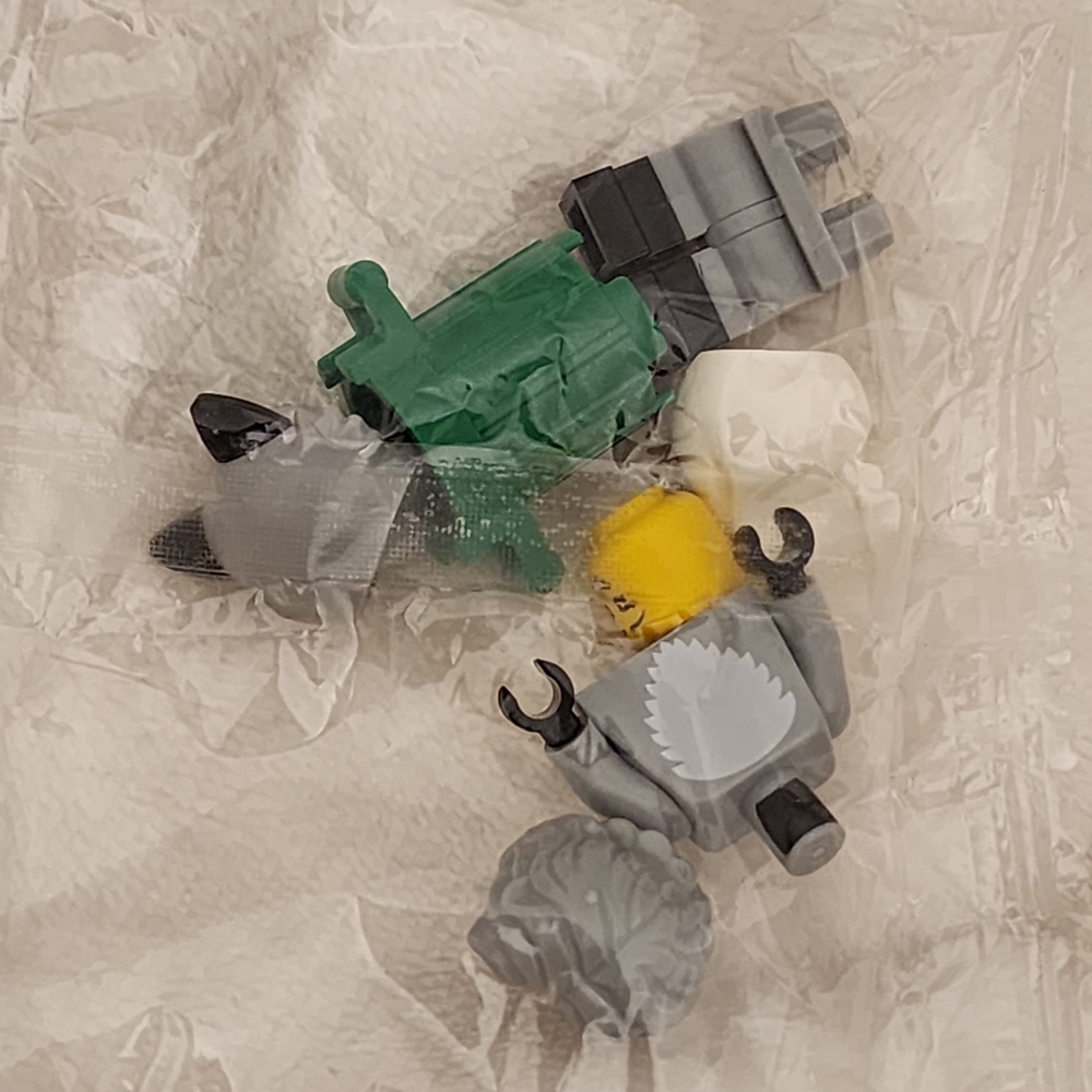 LEGO Minifigure Racoon - Picture 4 of 5